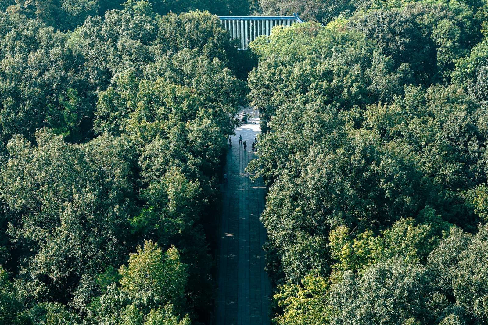 谷歌浏览器 macOS 场景对比评测 2026：多端联动下的性能边界实测